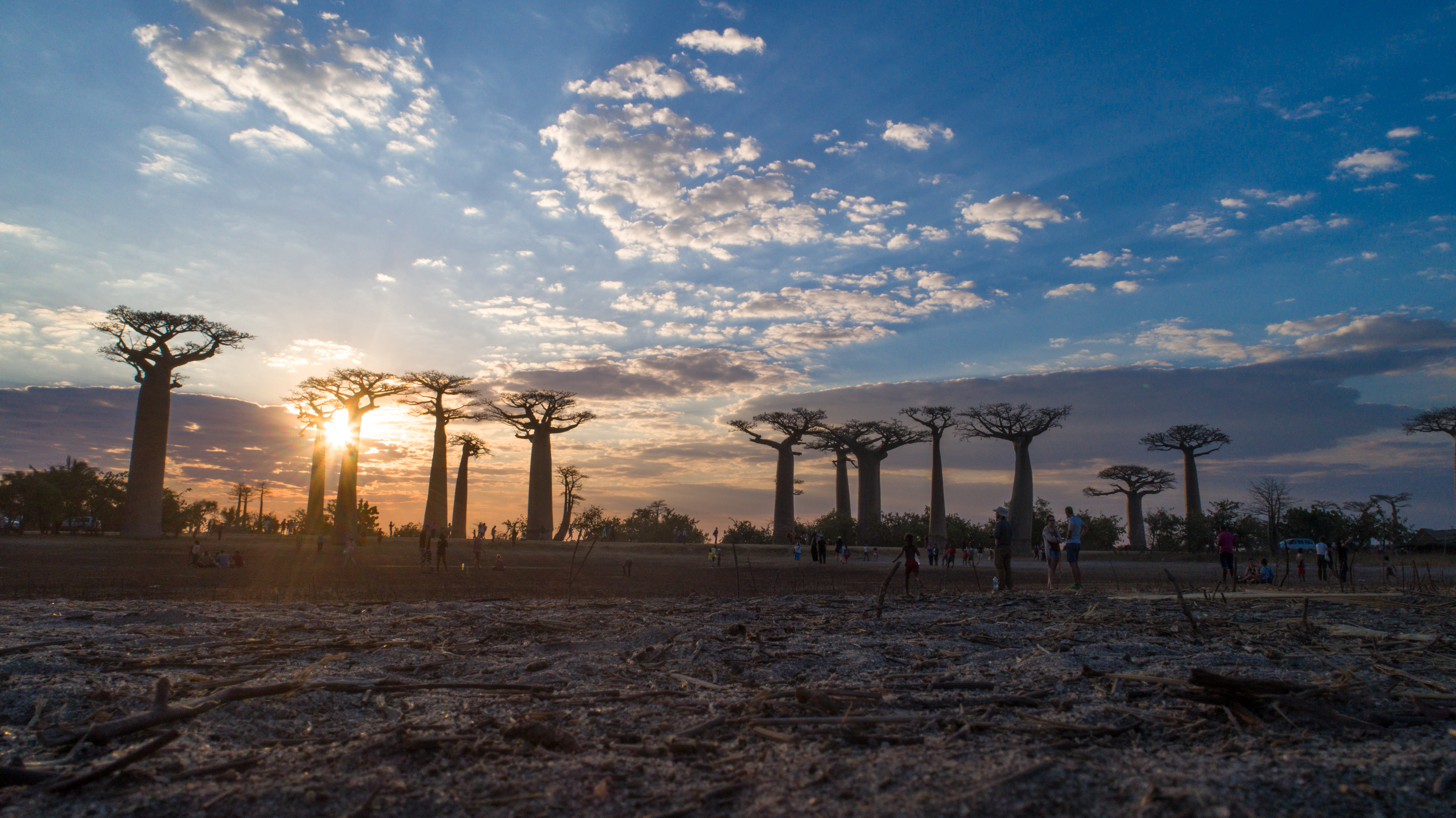 Itinerary 002 — Madagascar 18-30+