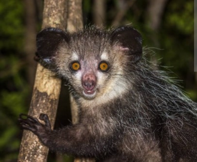 Discover Palmarium Private Reserve