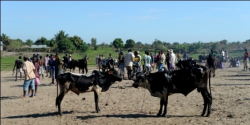 To Miandrivazo — Discover the High-Plateaux