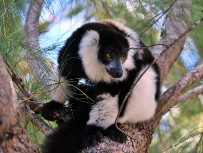 Overland to Manambato — To Palmarium by Boat (120km / 5hrs drive + 1h45 boat)