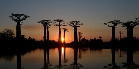 Itinerary 002 — Madagascar 18-30+