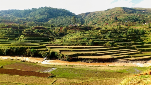 Itinerary 001 — Madagascar 50+