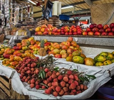 Palmarium to Toamasina (Tamatave) — Pangalanes Canal (1h45 – 2hrs boat)
